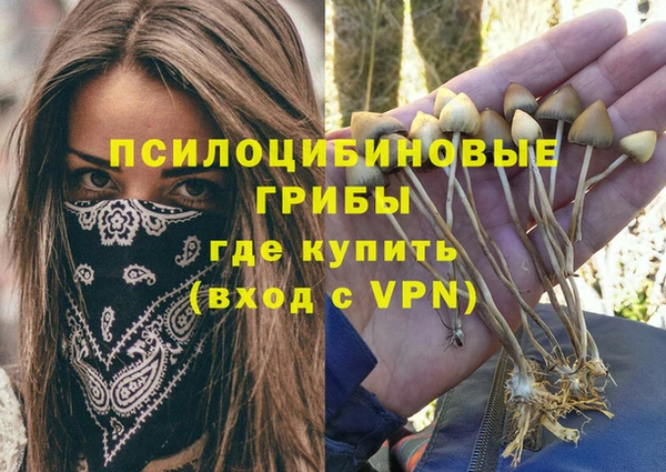 прущая мука Карталы