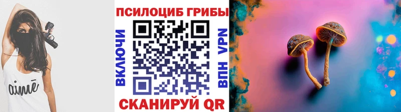 Псилоцибиновые грибы Magic Shrooms  Купить закладки  Верещагино 